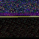 Onion root tip cells at 400x
