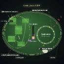 The chloroplast view