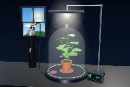 The plant in its glass dome under the grow lamp