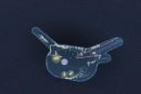 A 3D amoeba crawling