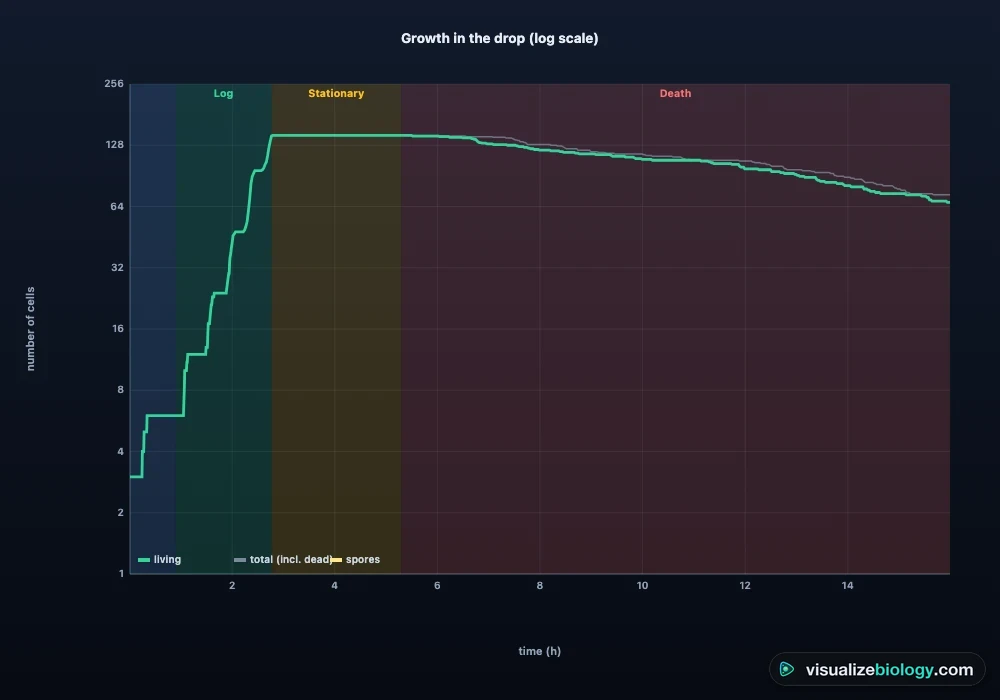 Bacterial growth curve from the simulator on a log scale: a flat lag phase, a straight log phase, a level stationary phase and a falling death phase