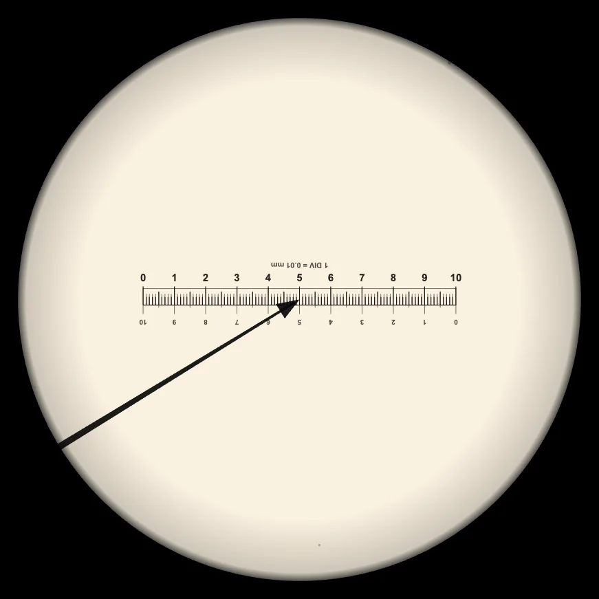 Eyepiece graticule scale lined up with a stage micrometer scale at 100x total magnification for calibration