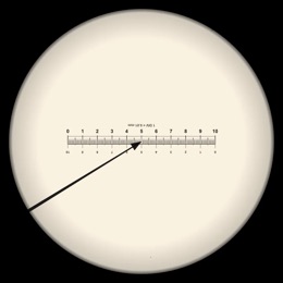 Eyepiece graticule over a stage micrometer