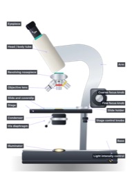 Labelled parts of the microscope