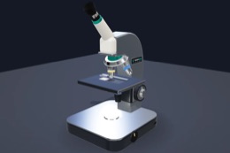 The 3D virtual microscope