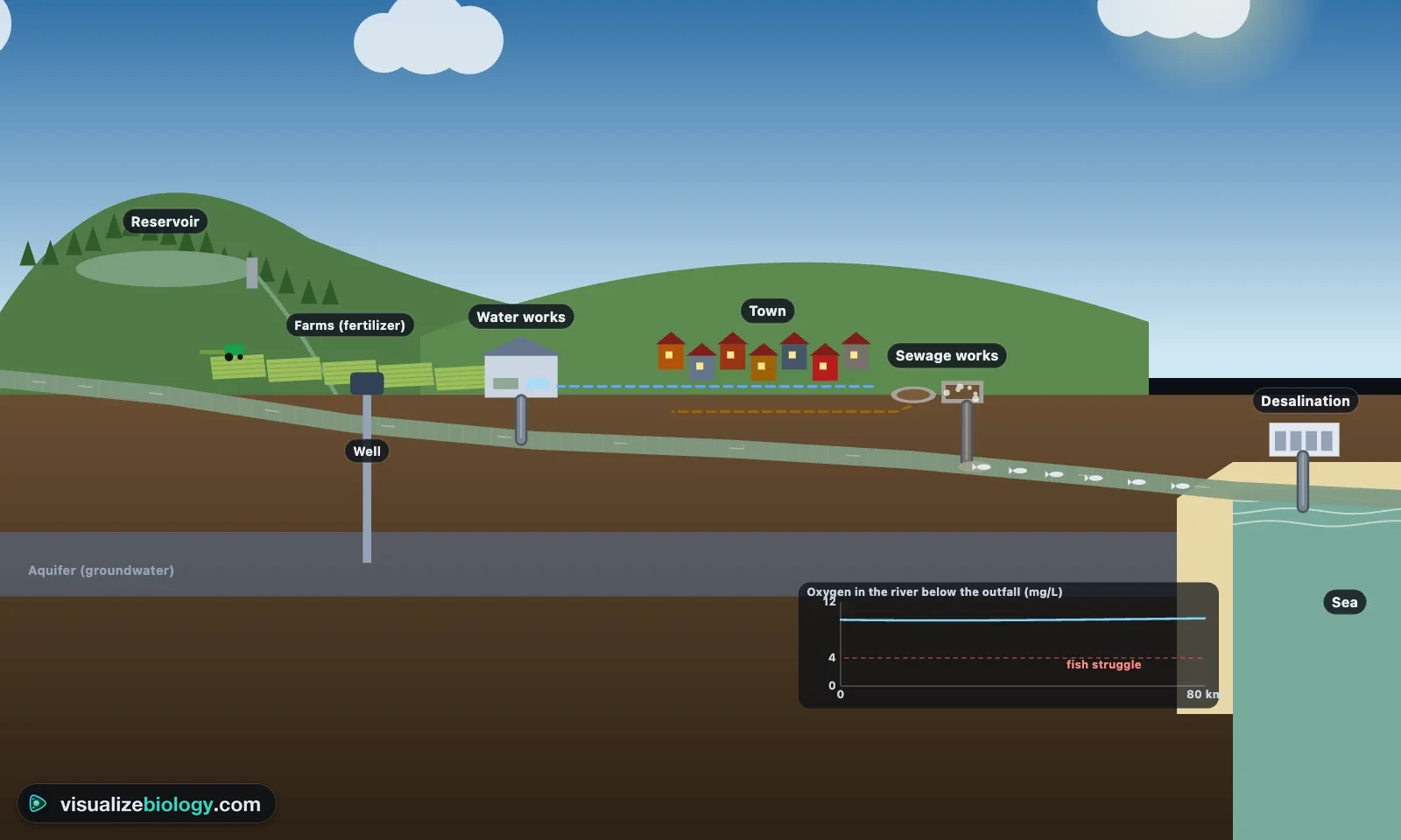 The catchment view of the water filtration simulator: rain on the hills and farms, a reservoir, the river, the water works, the town, the sewage works and its outfall, the oxygen sag in the river below it, a well into the aquifer and a desalination plant on the coast