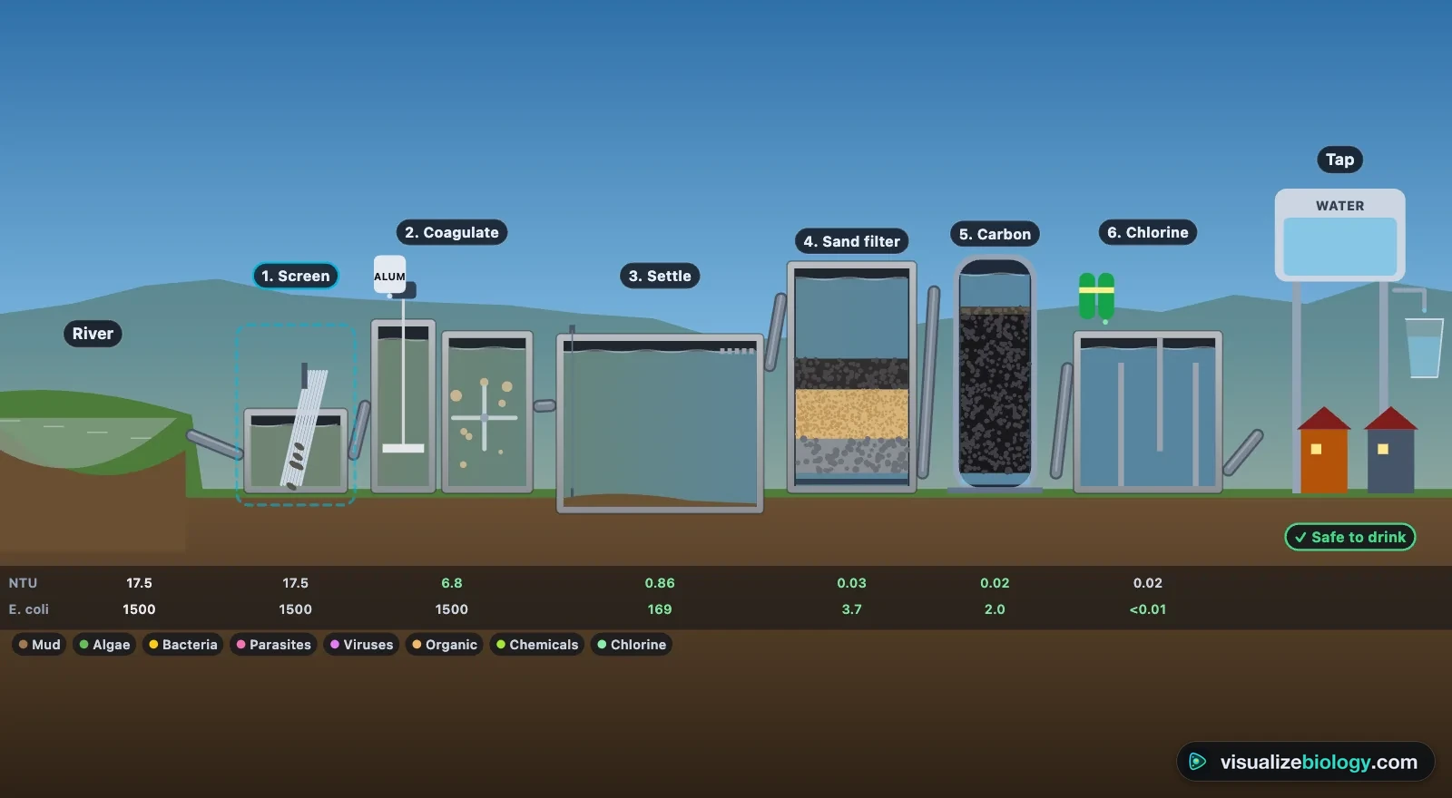 The water filtration simulator: river water passes a screen, coagulation and flocculation tanks, a settling tank, a rapid sand filter, activated carbon and a chlorine contact tank; mud and germs are removed at each step on the way to the tap